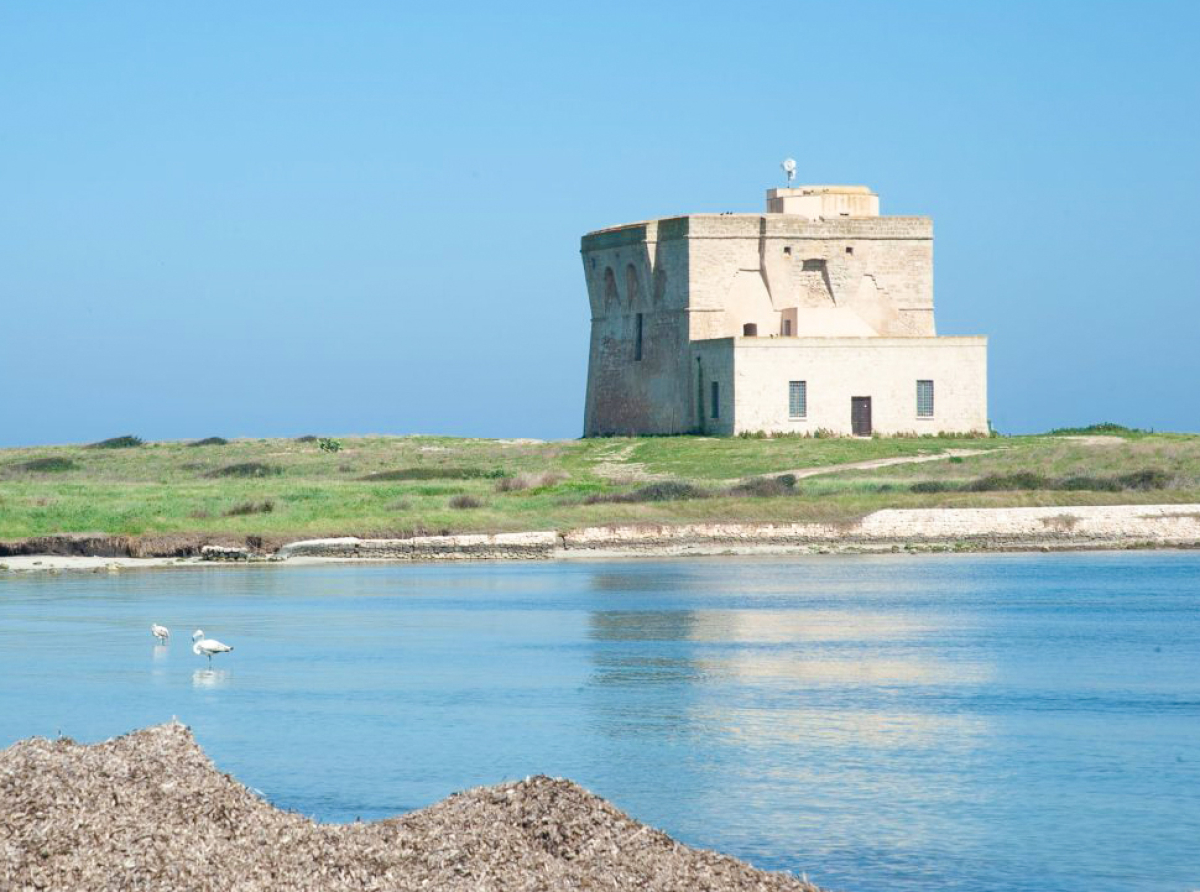 Campagna di scavi 2024 di Torre Guaceto: la storia riemerge dalle acque cristalline 