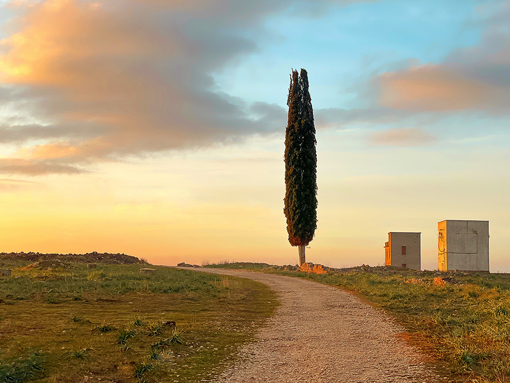 Vincitore: